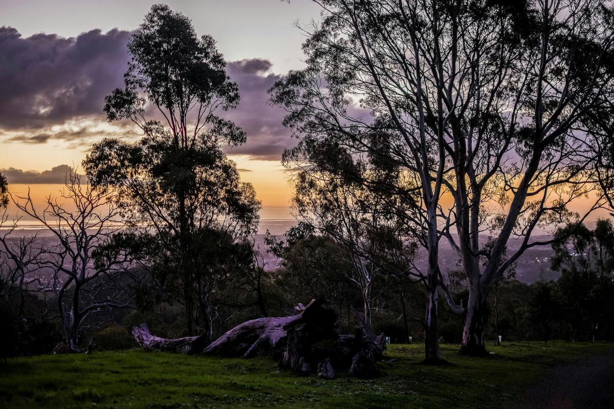 Anstey Hill Recreation Park