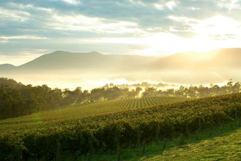 Private Charters & Tailormade Tours