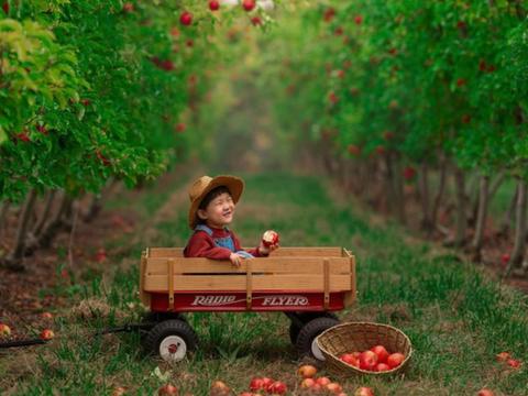 At Lenswood Pick Your Own Apples