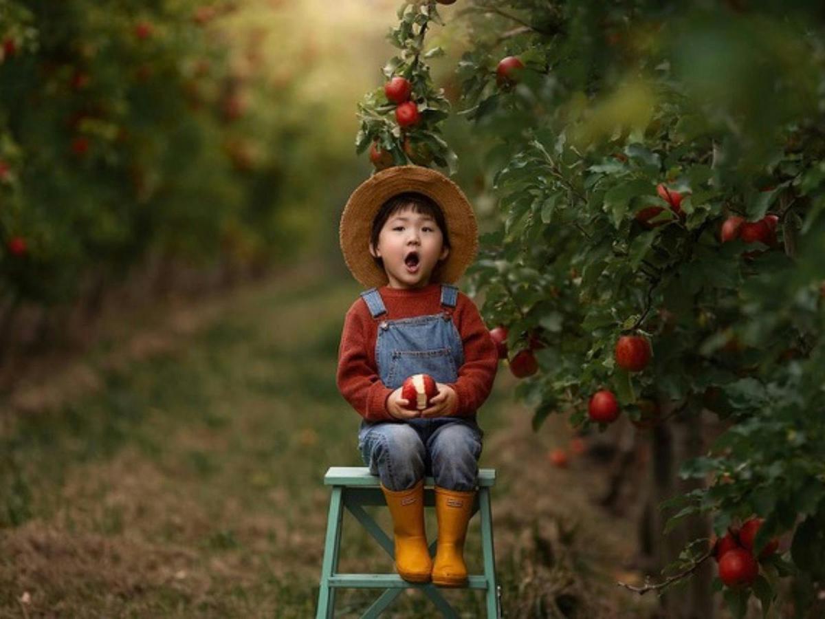 apple picking
