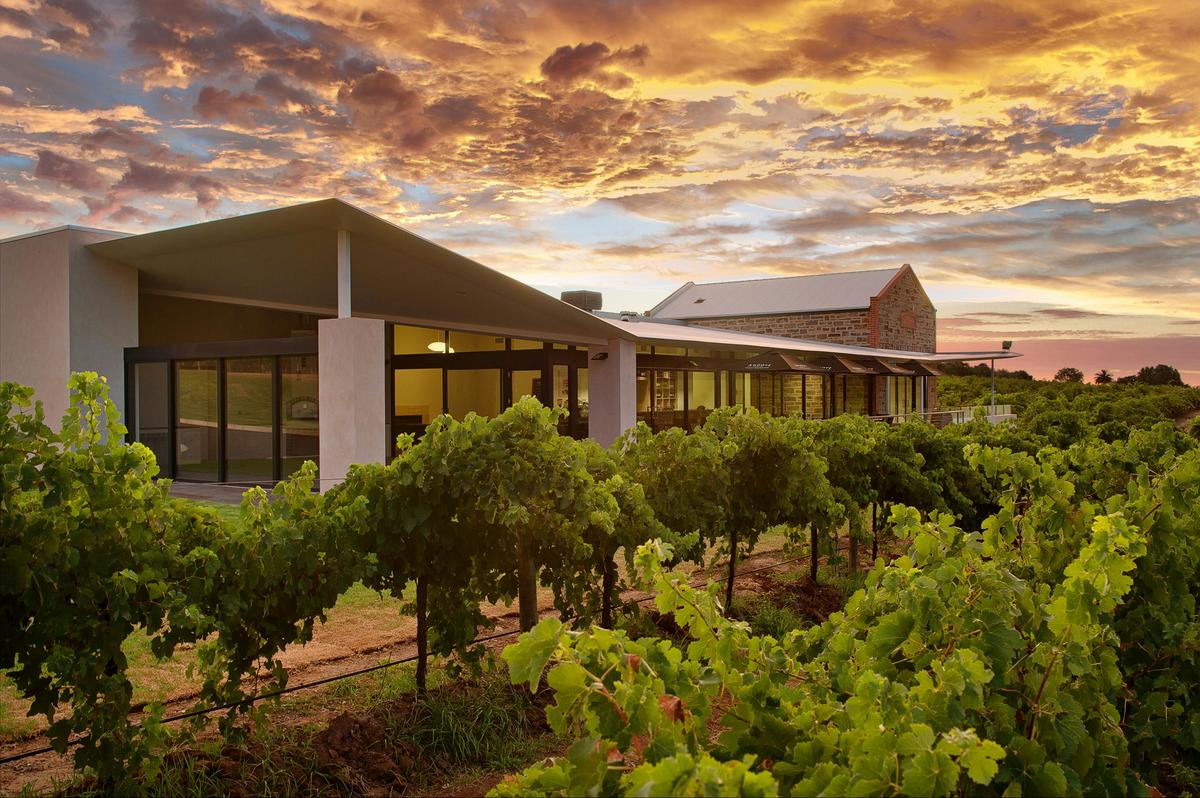 Angove McLaren Vale Cellar Door exterior rear