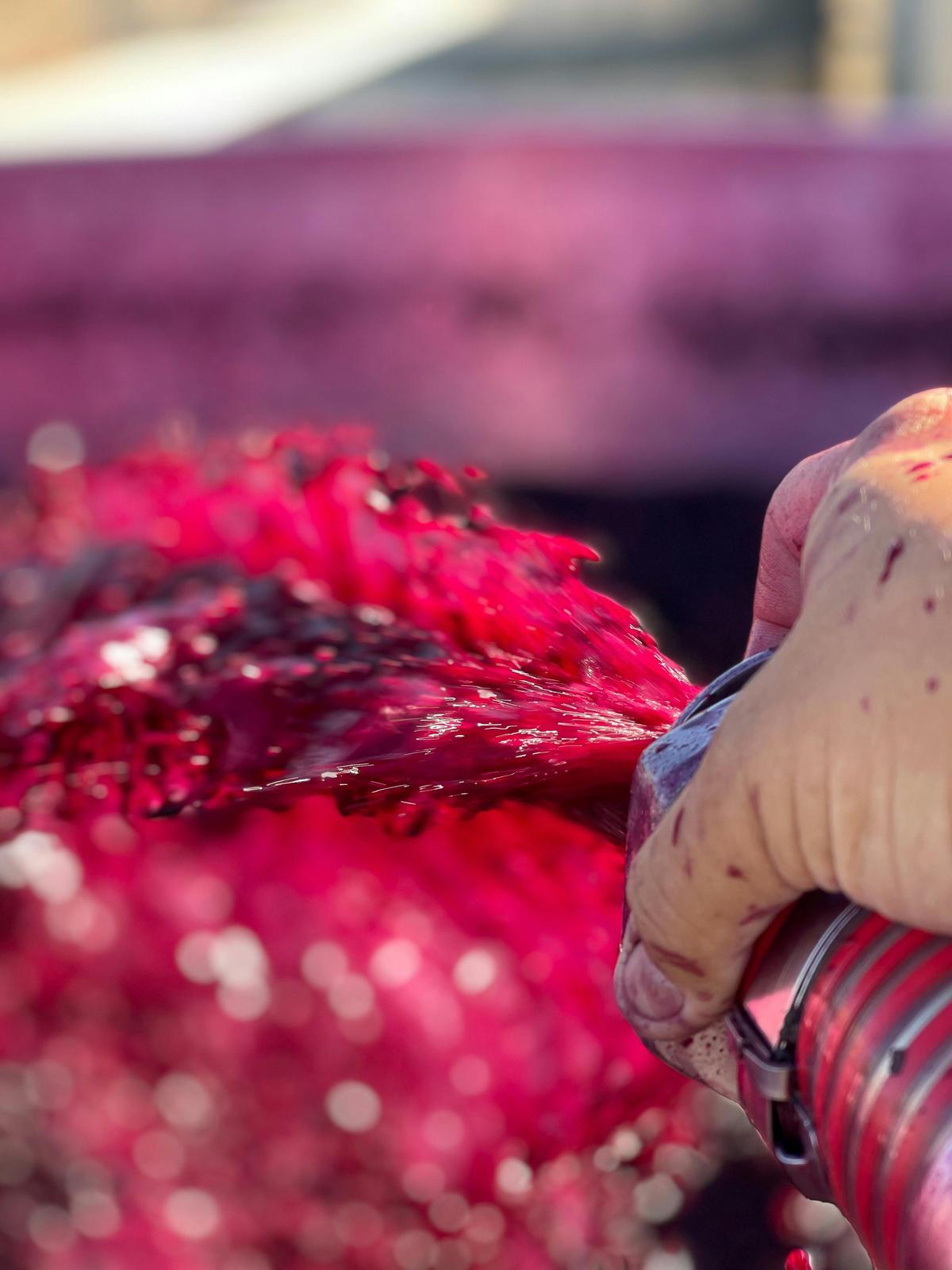 We love shiraz, look at this colour