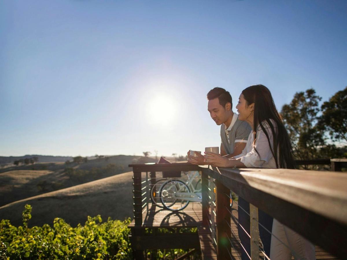Explore The Barossa Valley