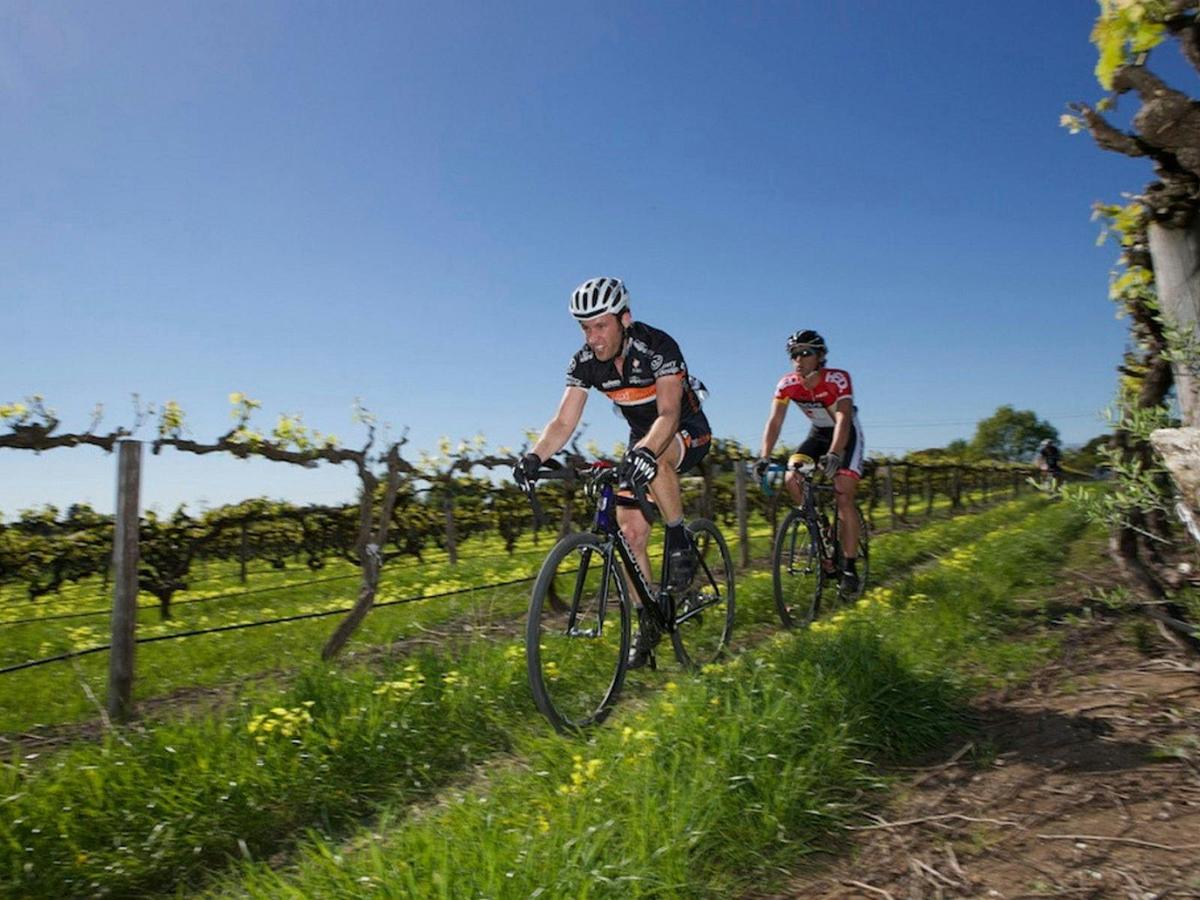 Barossa Cycle Short Break