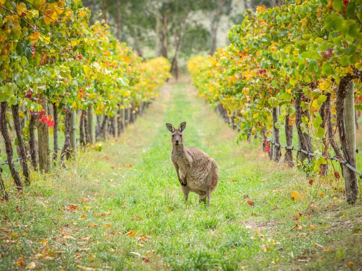 Barossa Cycle Short Break