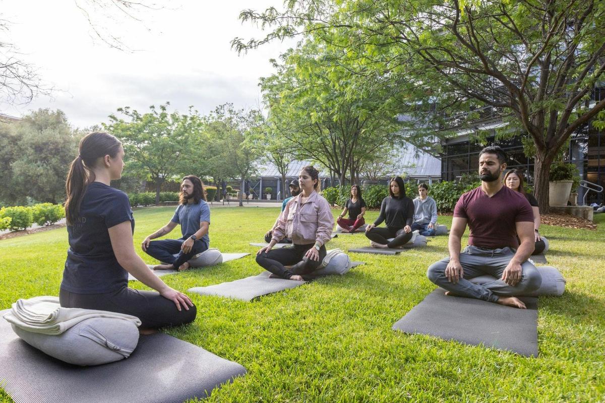 Botanic Balance – A Mindful Garden Walk