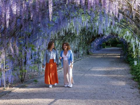 Adelaide Botanic Garden