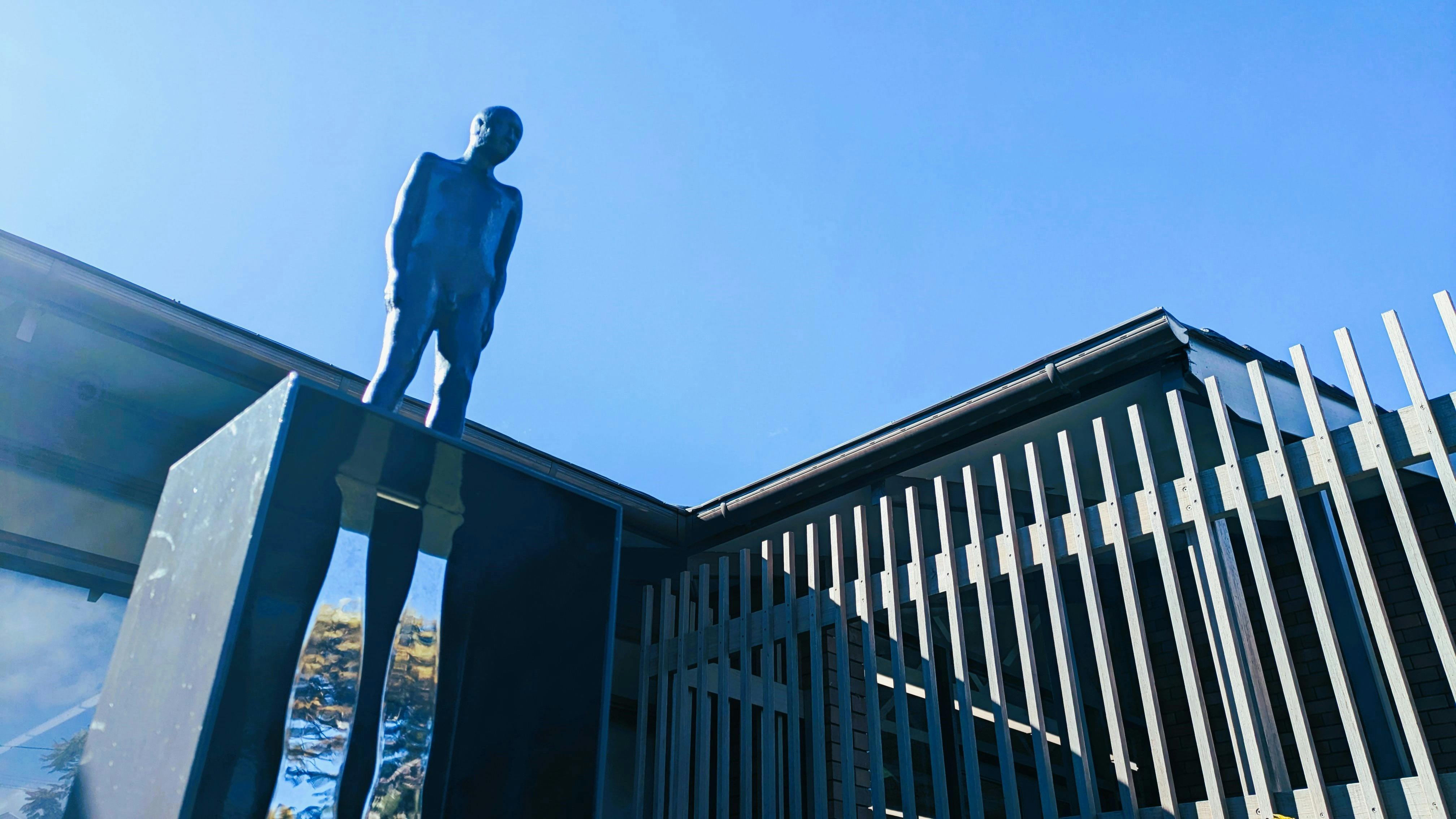 Theatre of the Shadow by Peter Tilley