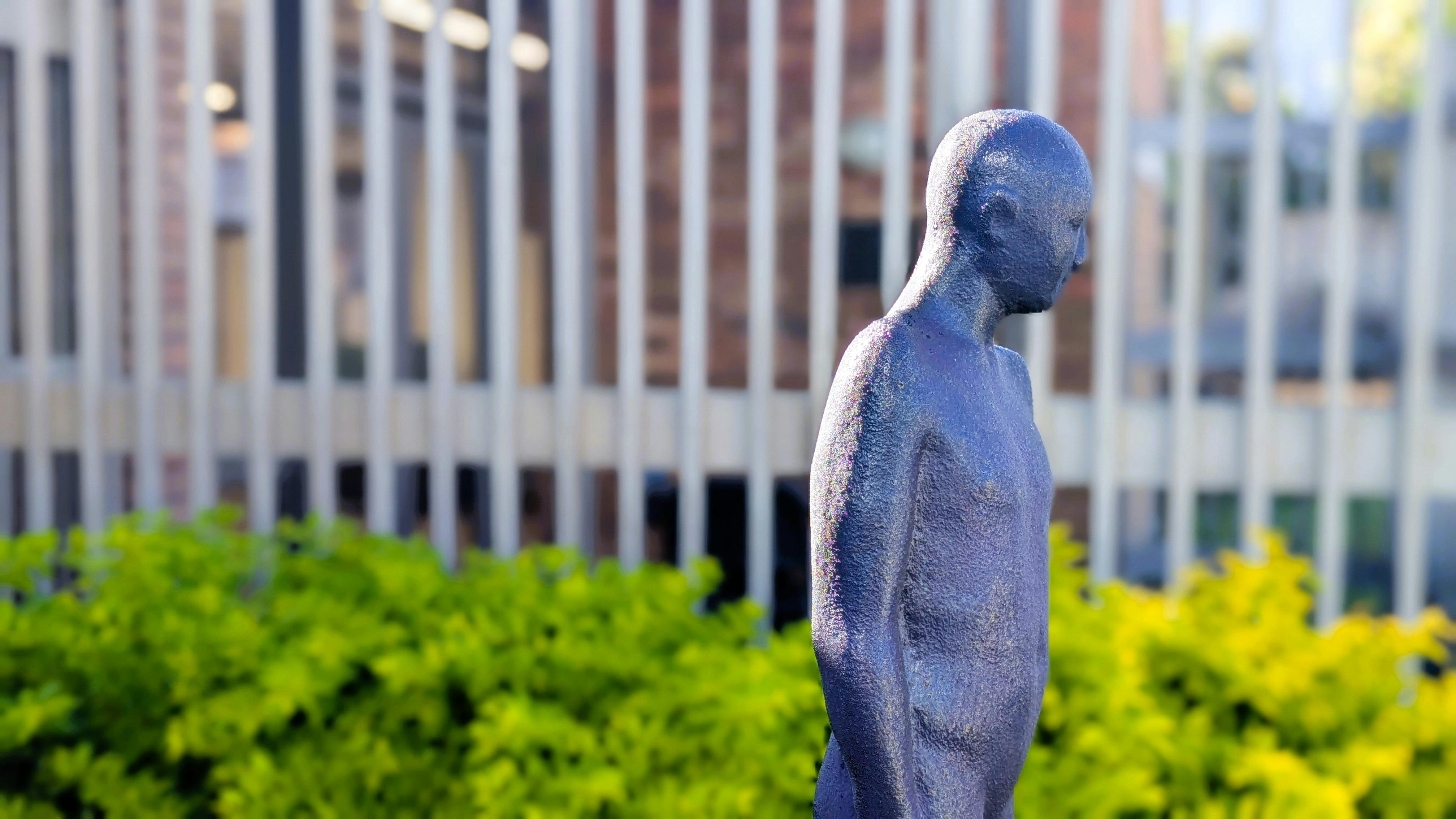 The Theatre of the Shadow by Peter Tilley