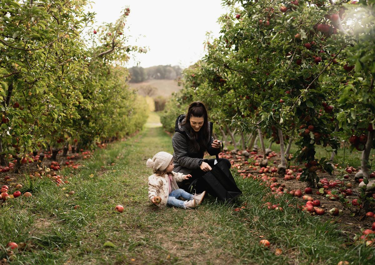 Mothers Day apple picking