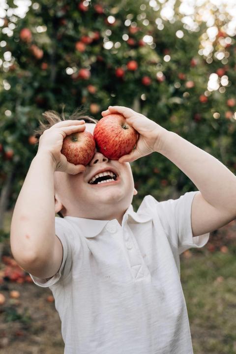 At Lenswood Pick Your Own Apples