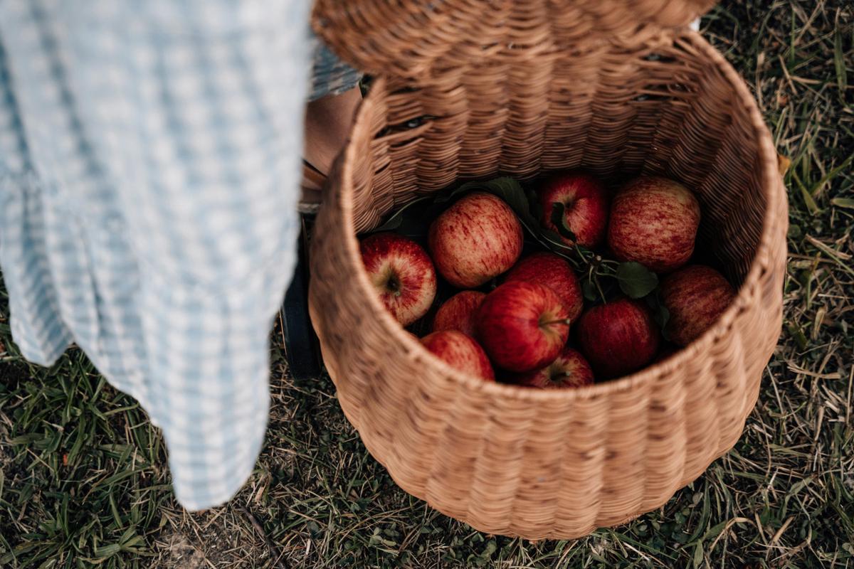 Apples @Lenswood