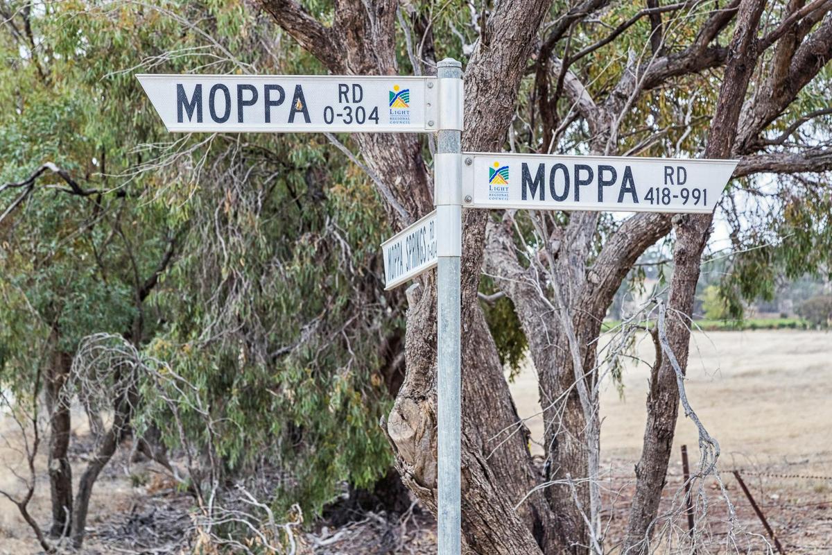 All roads lead to Moppa