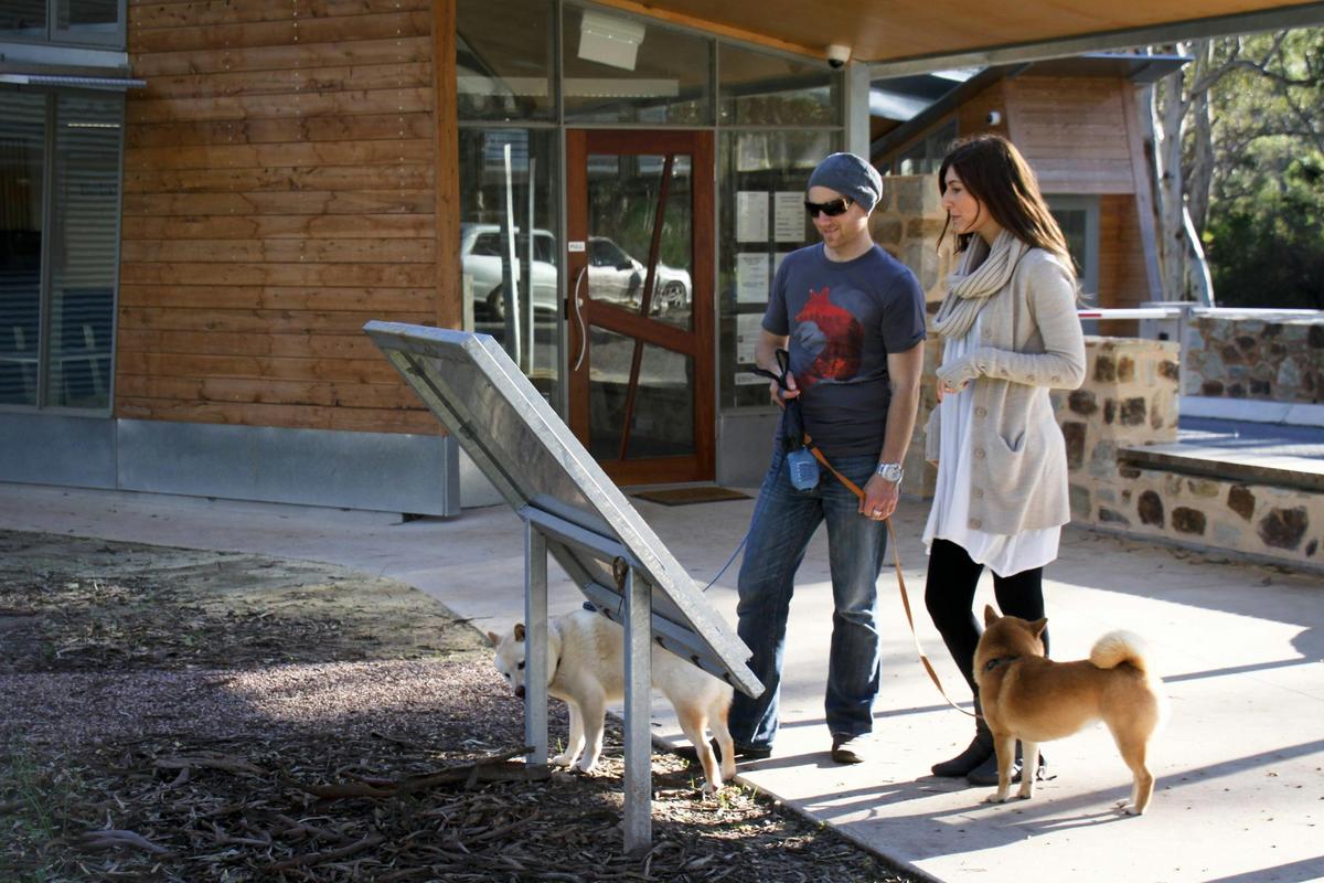 Guests at Belair National Park