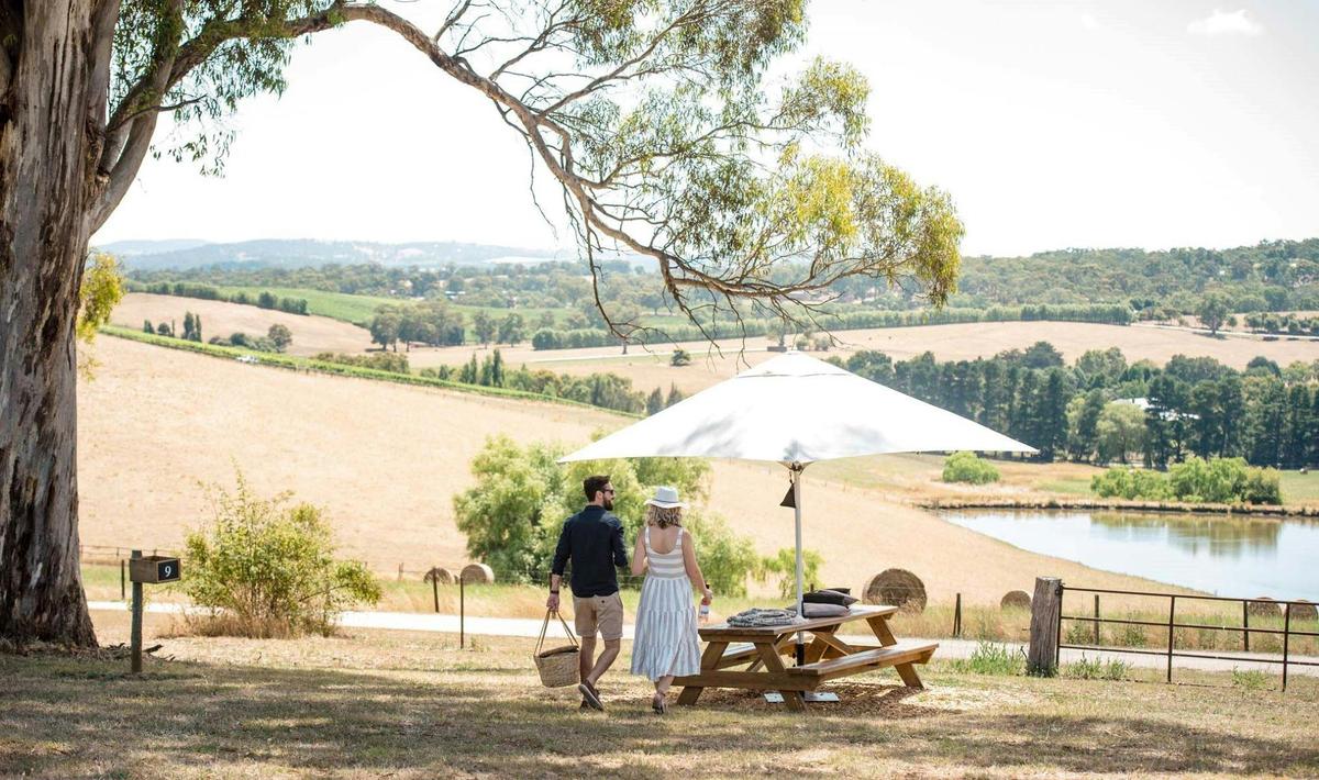 7-Day South Australian Food & Wine E-Bike Tour