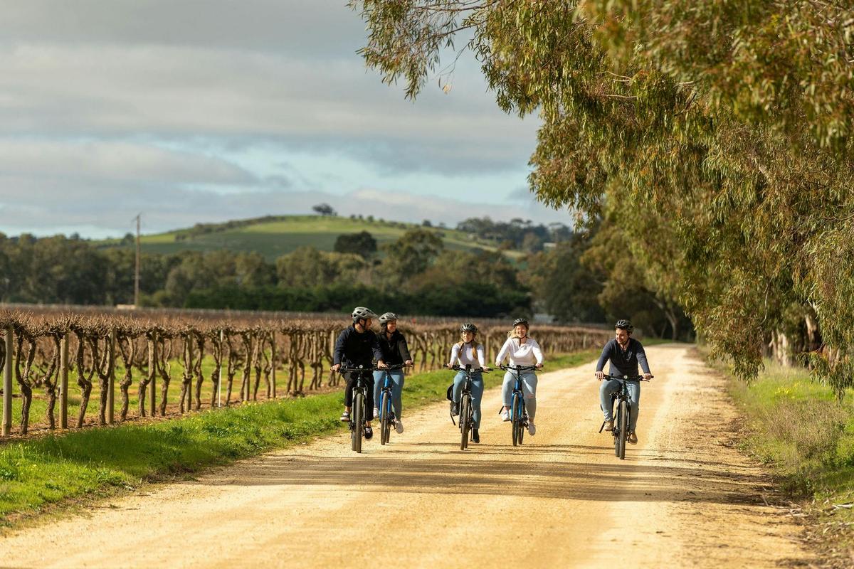 Experience Barossa