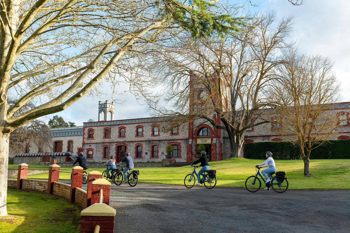 'Experience Barossa' Gourmet Food & Wine E-bike Tour