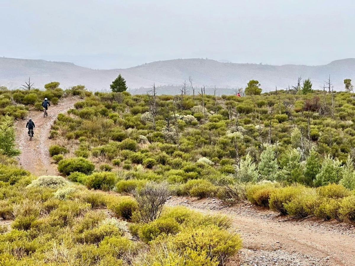 7-Day Flinders Ranges, Outback and Clare Valley E-Bike Tour