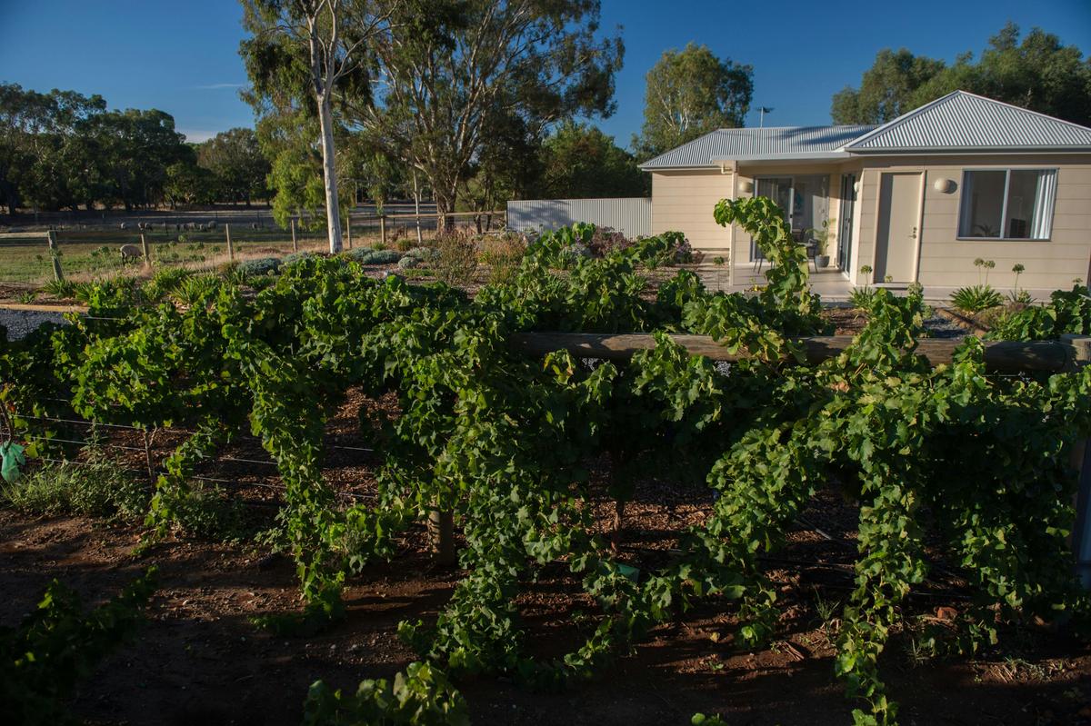 Barossa Accommodation