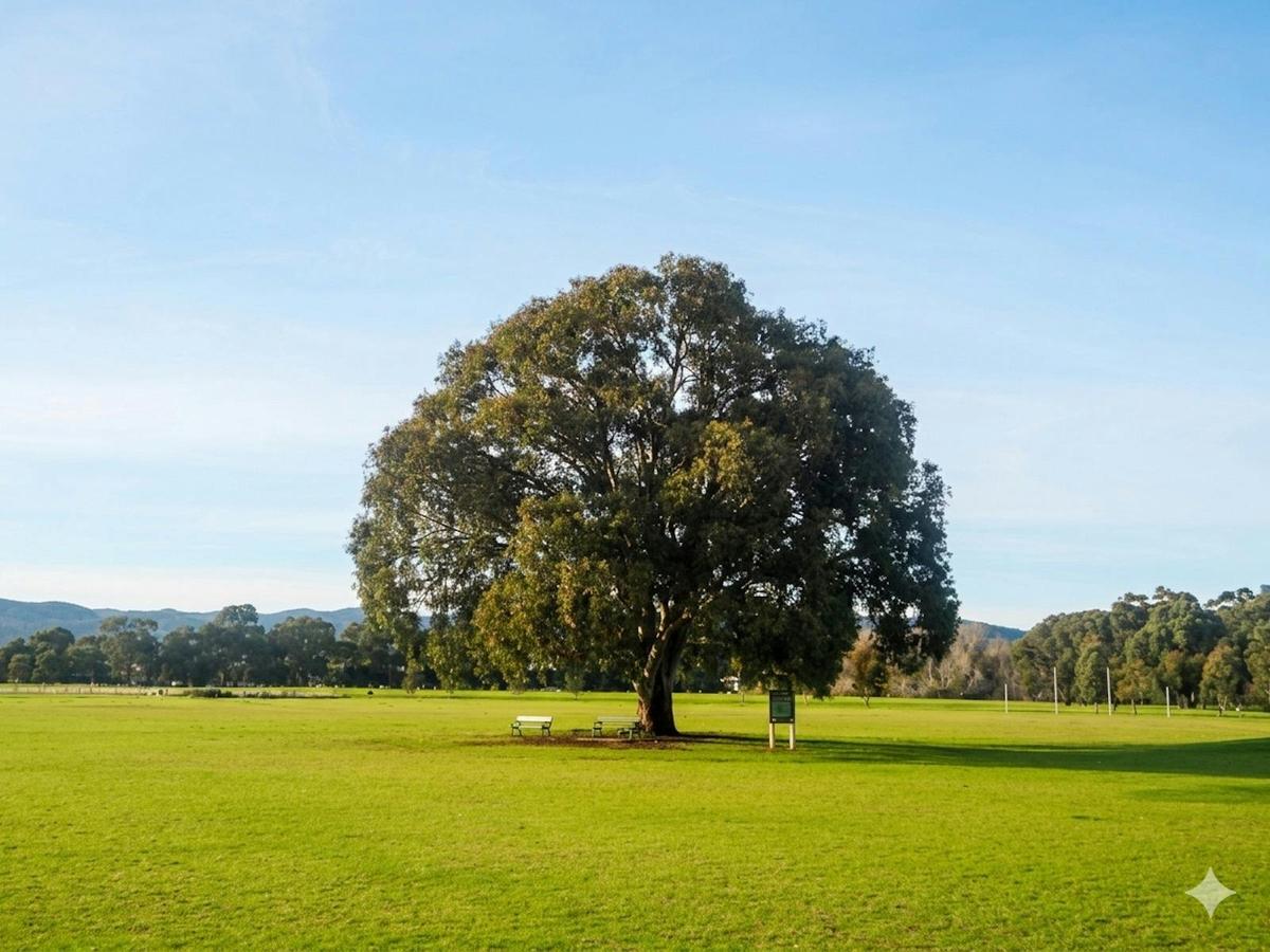 Enjoying the fresh air and open green spaces of Victoria Park.