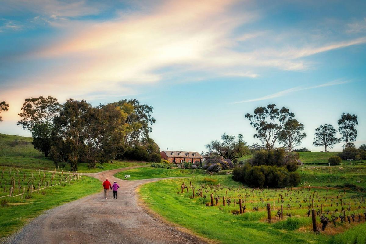 Bethany Quarry Vineyard Walk