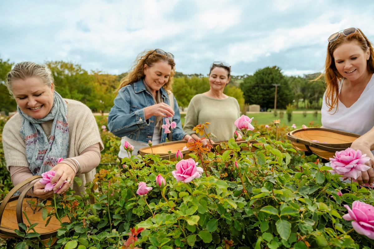 Senses in Harmony at Jurlique Farm