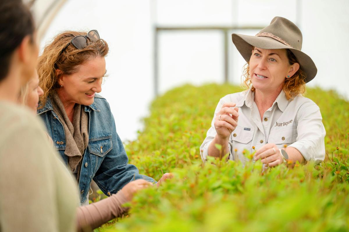 Senses in Harmony at Jurlique Farm