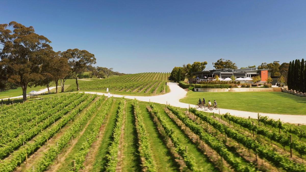 7-Day South Australian Food & Wine E-Bike Tour