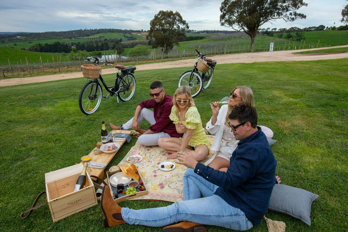 Picnic at The Lane Winery
