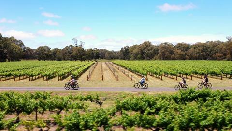 3 Day | Grapes for Good - E-Cycling Safari & Wine Experience