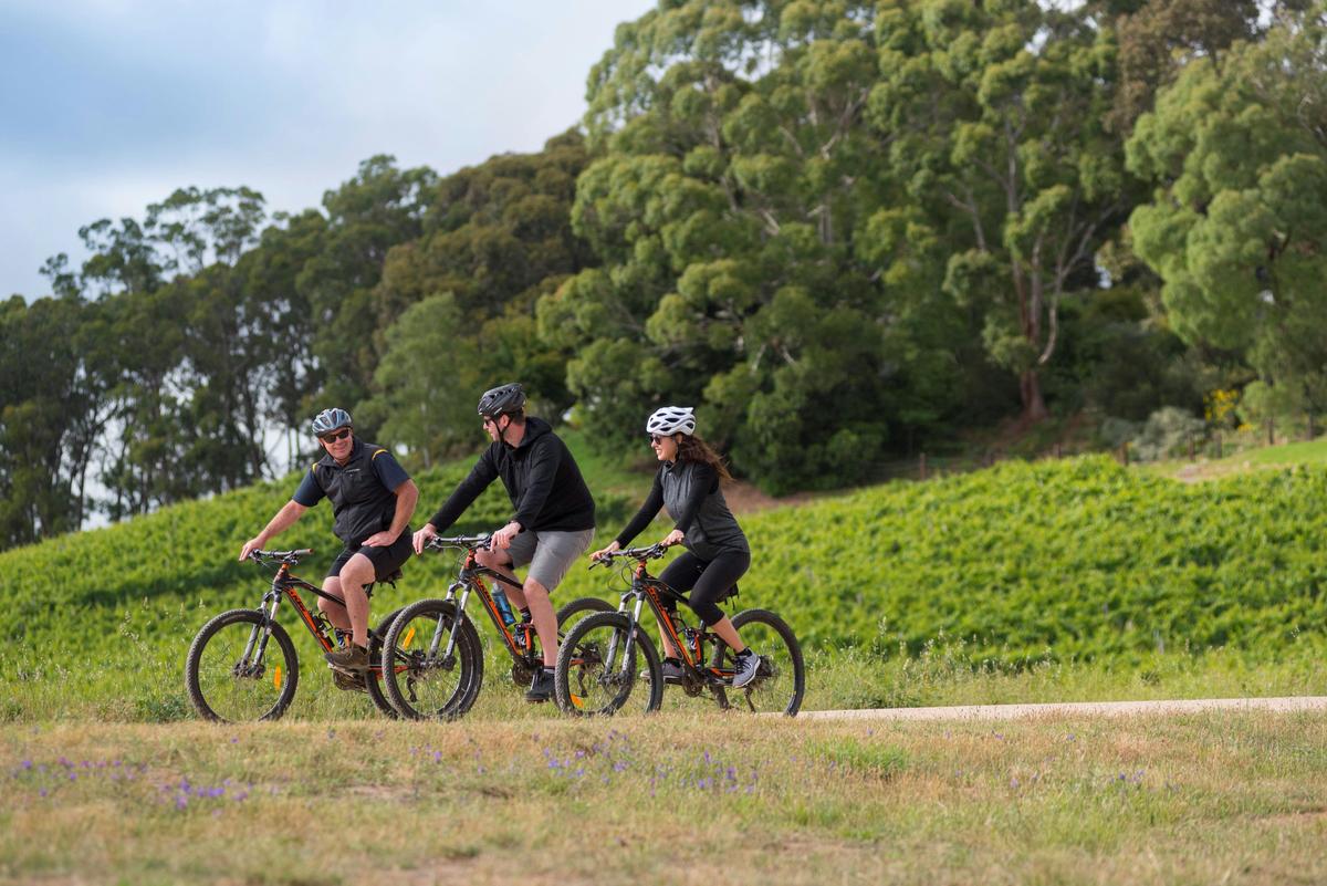 Amy Gillett Bike Hire - Adelaide Hills
