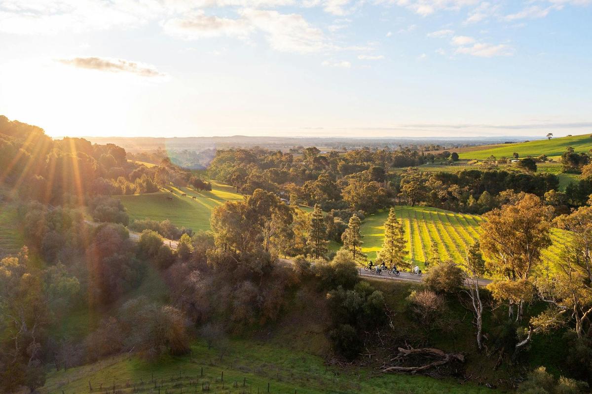 7-Day South Australian Food & Wine E-Bike Tour