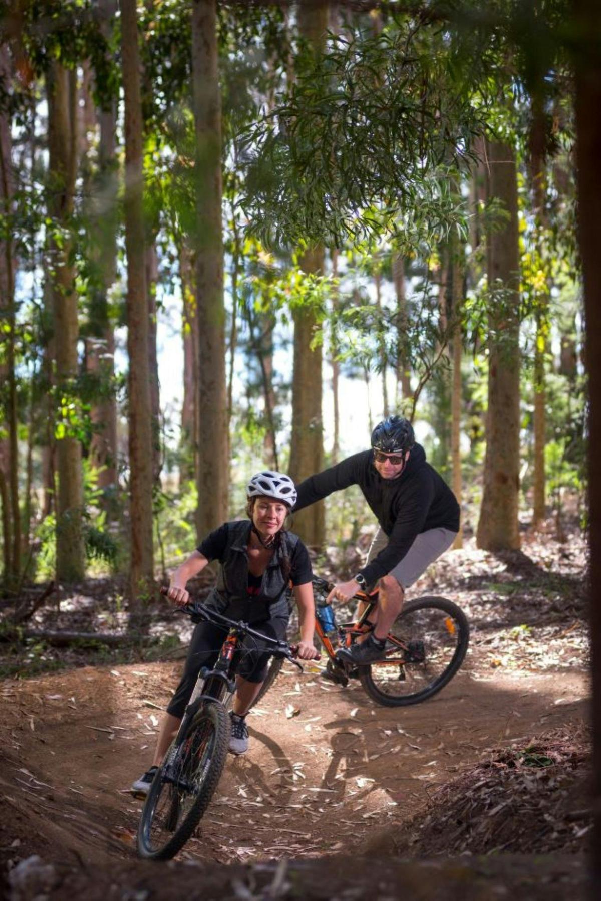 Mt Lofty E-Wheels & Wildlife tour