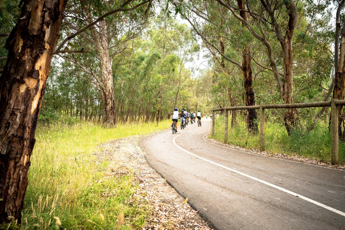 Amy Gillett Bike Hire - Adelaide Hills