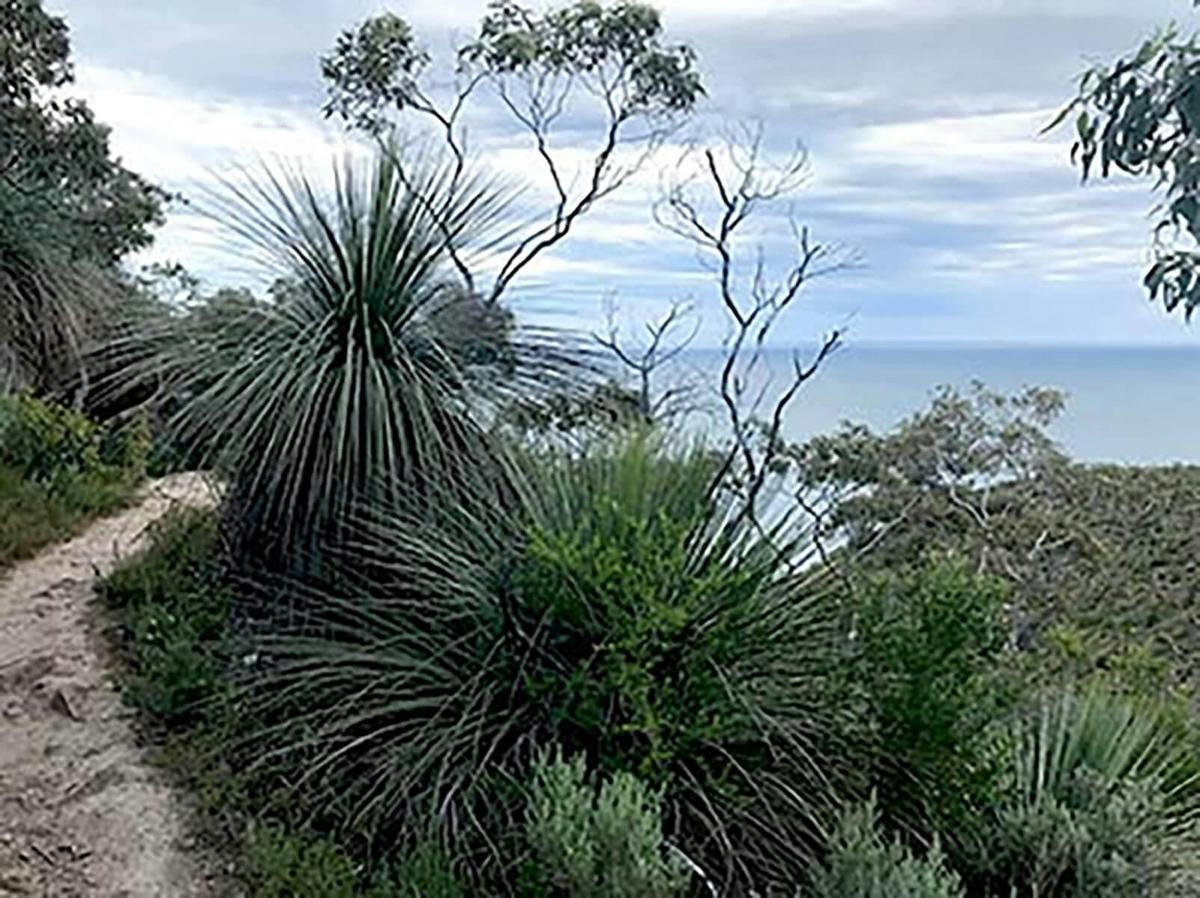 5 Day Wild South Coast Way Adventure