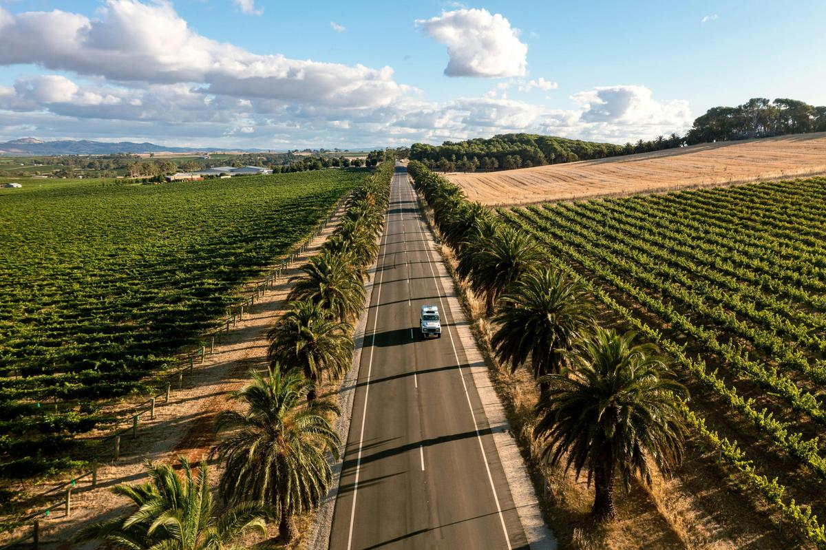 Barossa Valley and Clare Valley