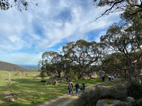 Beyond Wellness Co - Barossa