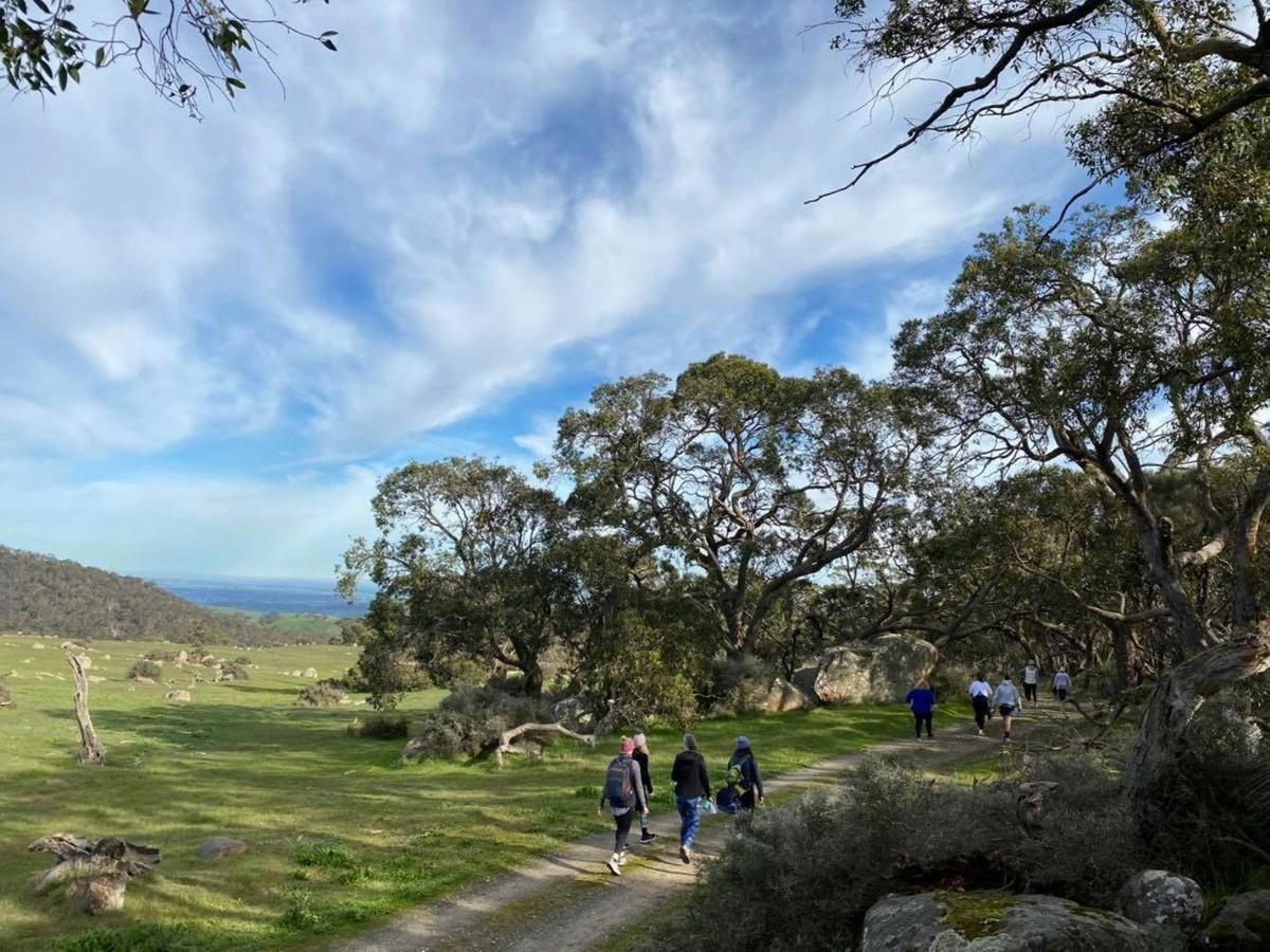 Barossa Wellness Experiences