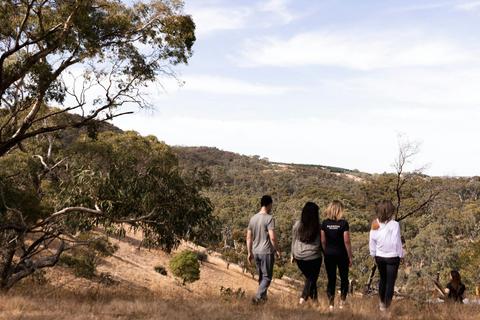 Barossa Wellness Guided Morning Walk