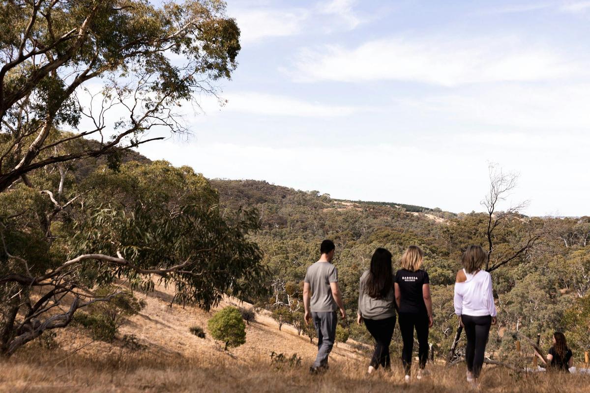 Barossa Wellness Guided Morning Walk