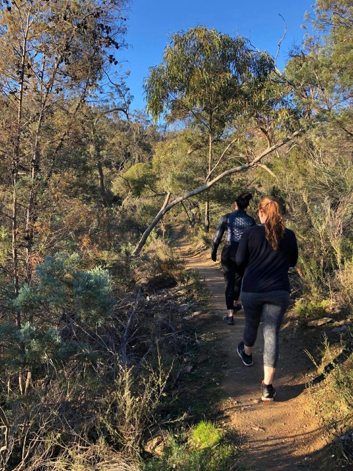 Wellness Barossa Nature Hiking experiences