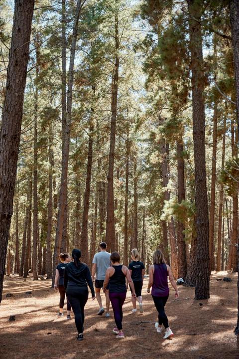 Barossa Hikes