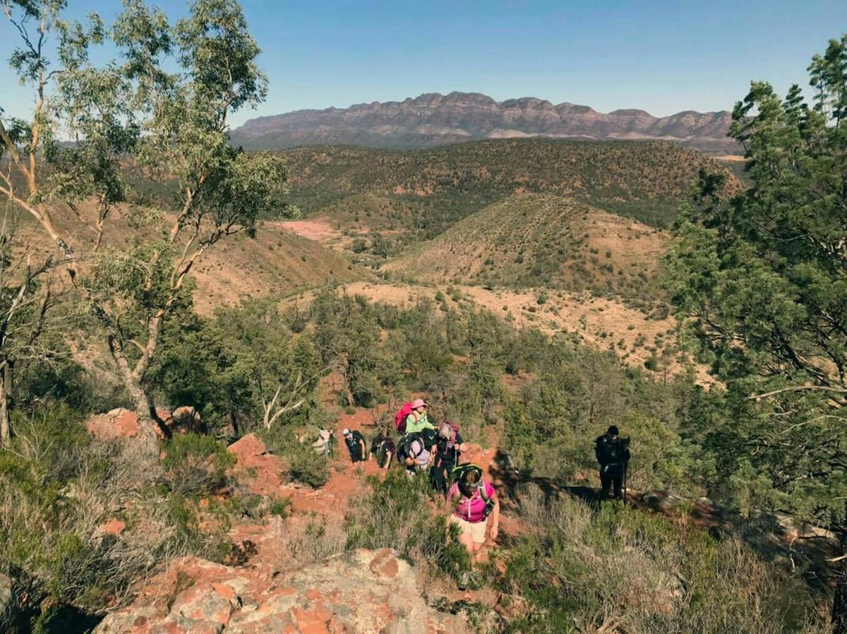 4 Day Flinders Ranges Ikara Wilpena Pound Adventure