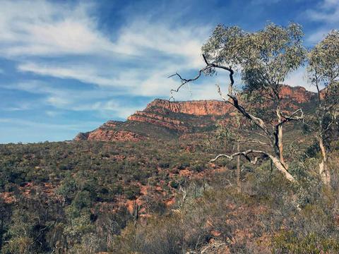 4 Day Flinders Ranges Ikara Wilpena Pound Adventure
