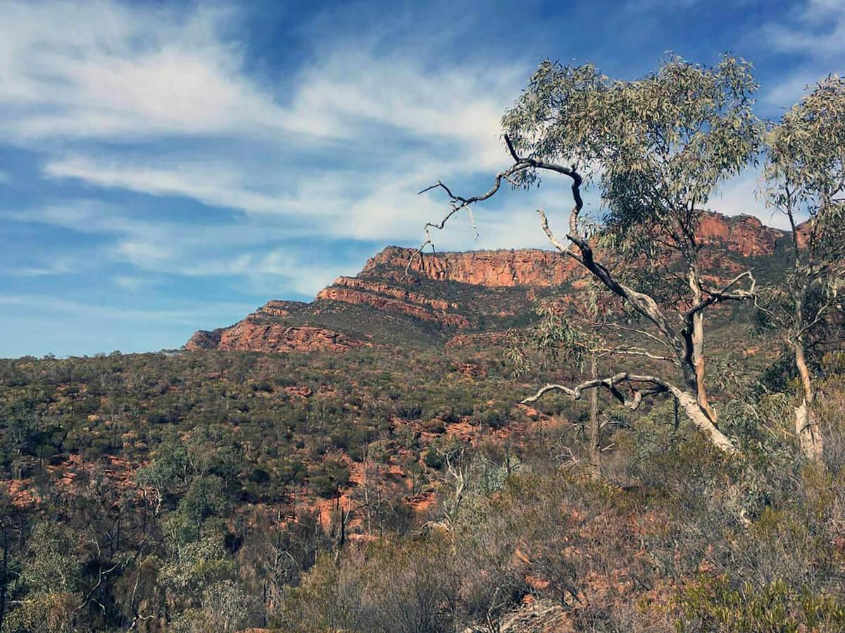 4 Day Flinders Ranges Ikara Wilpena Pound Adventure