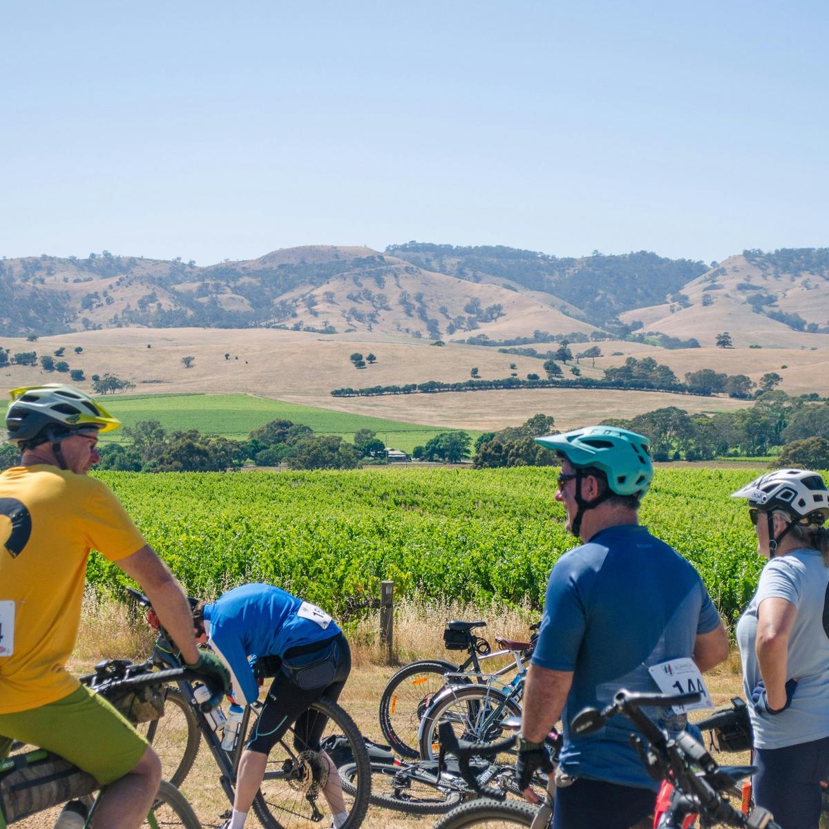 Cyclists embracing the view over the vineyards before a social ride through regional South Australia