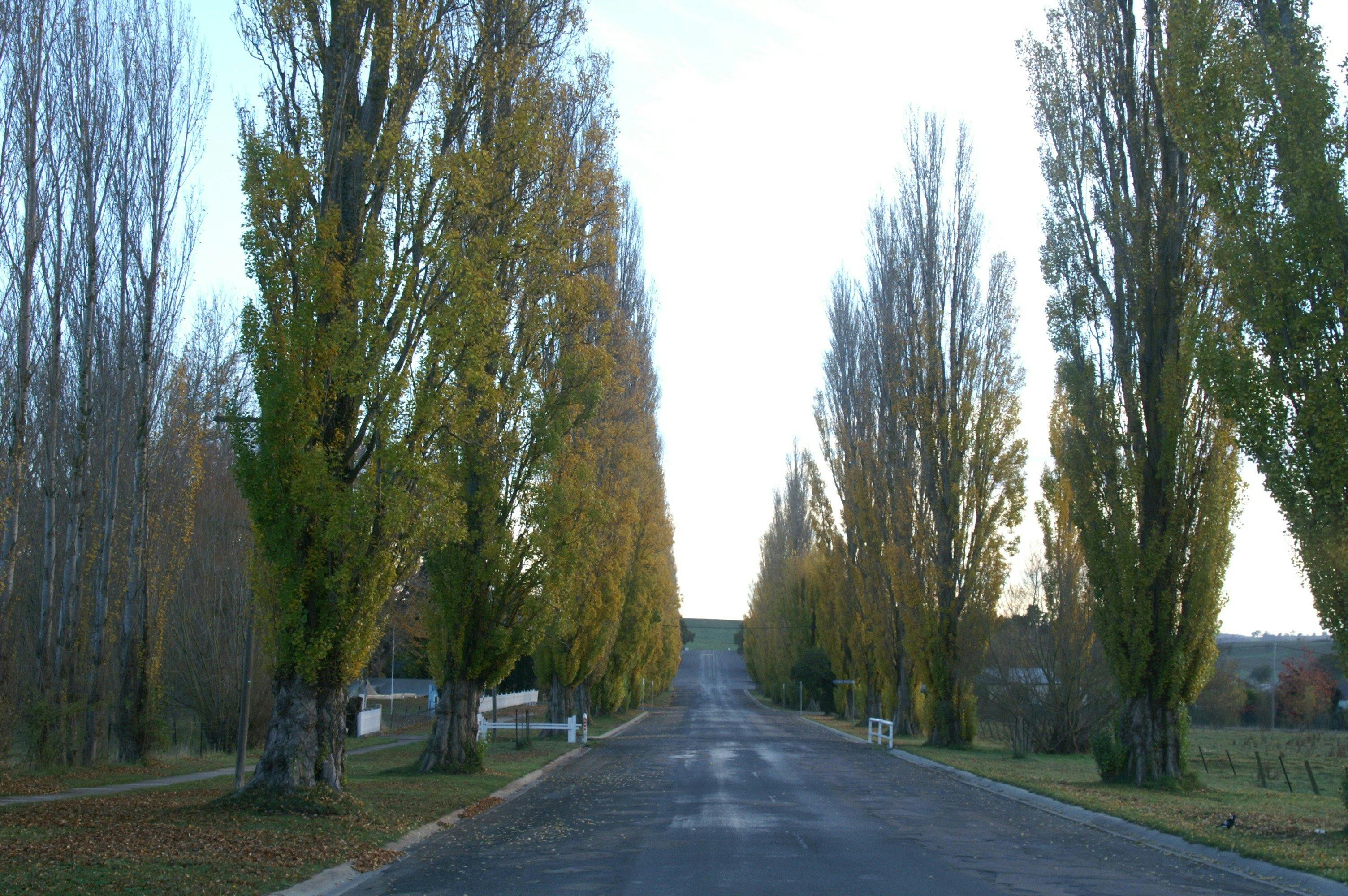 Taralga Main Street