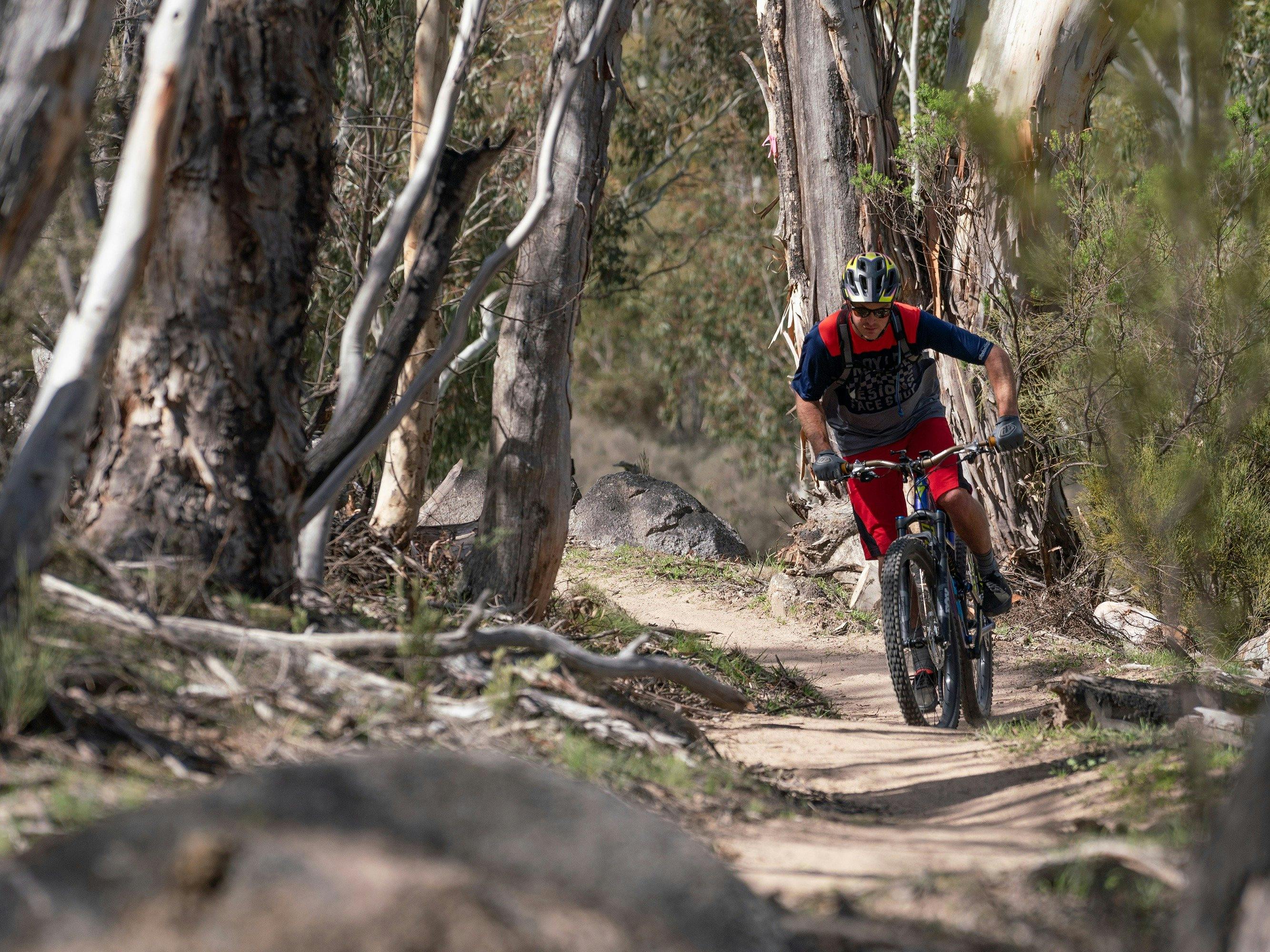 Test your legs on the exhilarating Thredbo Valley track, between Thredbo village and Gaden Hatchery