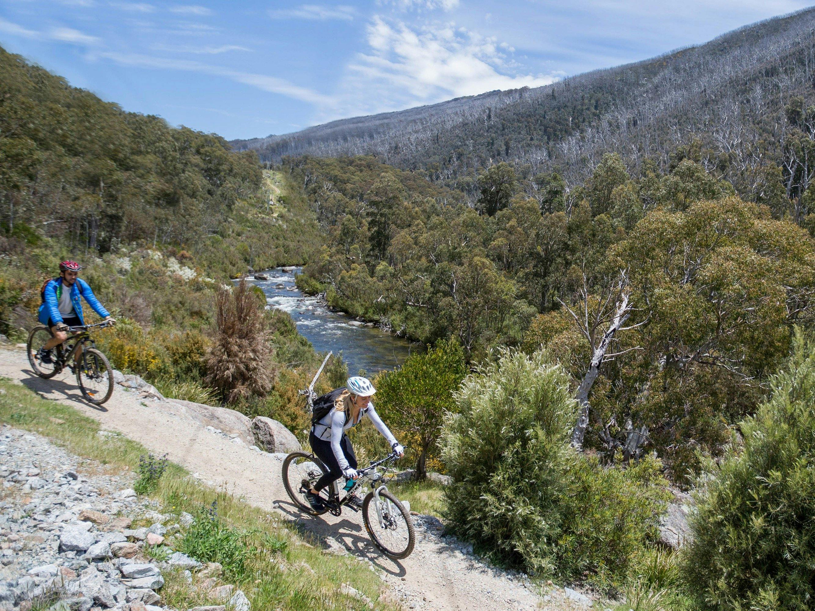 Thredbo Valley track is one of Kosciuszko National Park's most popular adventures on two wheels