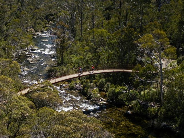 Thredbo Valley Track